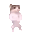 Sexo user image