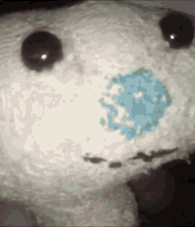 Bear user image
