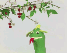 Bard The Dragon (Baby Einstein)
