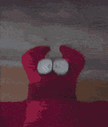 Bob Velseb