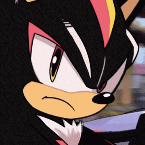 Shadow the hedgehog