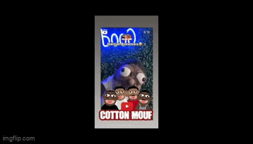 Gball (CottonMouf)
