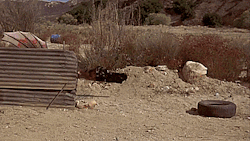 Tremors