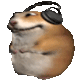 Chomik
