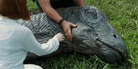 Apatosaurus (Jurassic World)