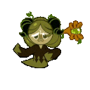 Matcha Cookie (KR)