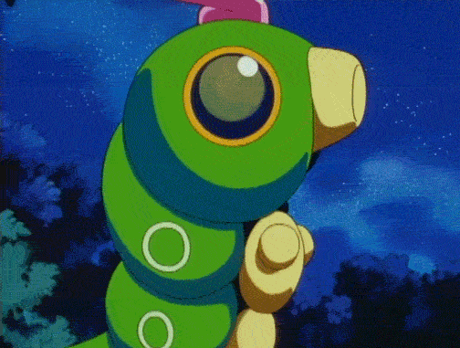 Caterpie (Pokémon Anime)