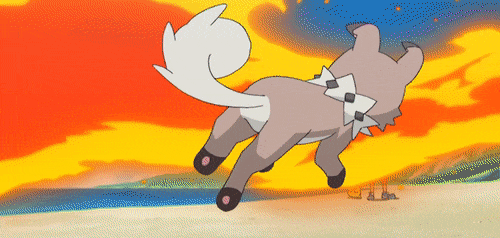 Rockruff (Pokémon Anime)