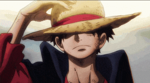 One Piece Seiyuus