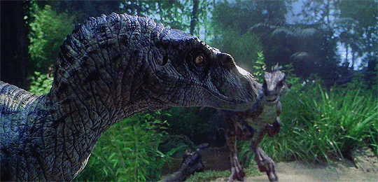 Velociraptor (Jurassic Park and World)