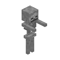Skeleton