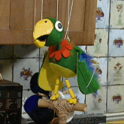 Potty the Parrot (Stephen Hillenburg) - SpongeBob SquarePants