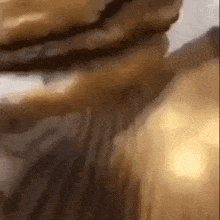 Hare Kitty you can have cheese burger (voice male) (MEME) [TITAN]
