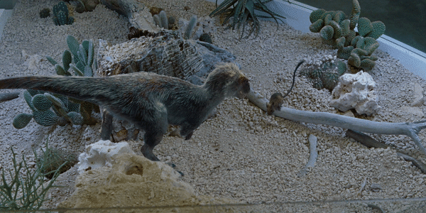 Moros (Jurassic World)