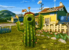 Cactus