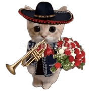 Literally a Mariachi trumpet