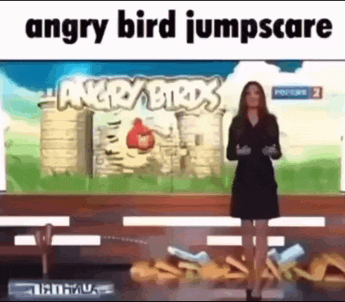 Russia 2 - Woman News Reporter [Angry Bird Jumpscare Origin]