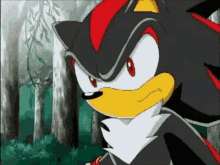 Sonic X