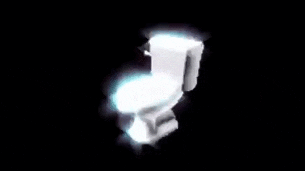 polish toilet