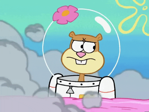 Sandy Cheeks (Spongebob Squarepants)
