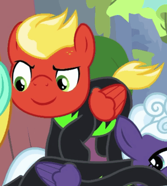 The Washouts