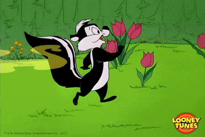 Pepe le pew looney tunes Doblaje Latino