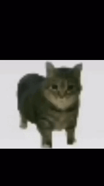 o ii a i o iii a i