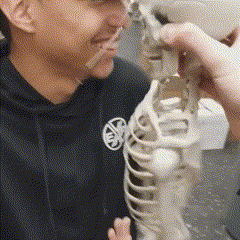 Skull Boy (Tom Schalk)