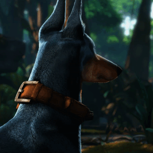 Alpha (Up)