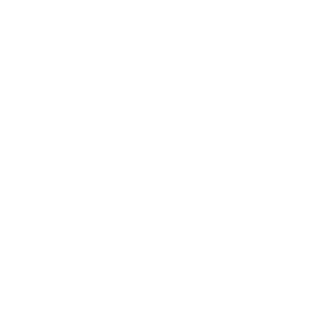 Naib Subedar
