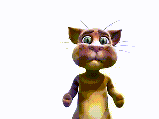 Leo Le Chat